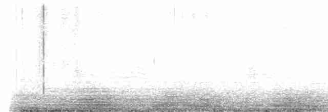 Râle à poitrine grise - ML618655934