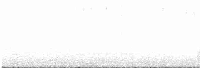 Spotless Crake - ML618655949