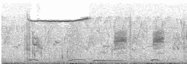 Long-tailed Shrike - ML618658126