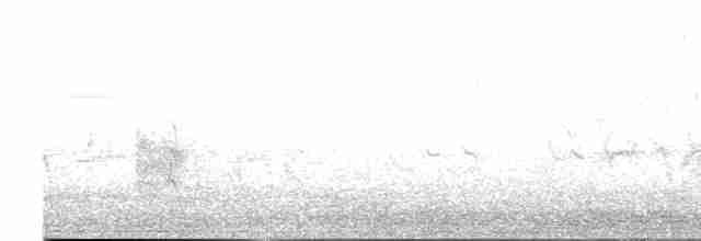 Сорокопуд терновий - ML618658257