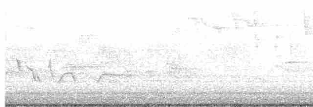 Tennessee Warbler - ML618658491