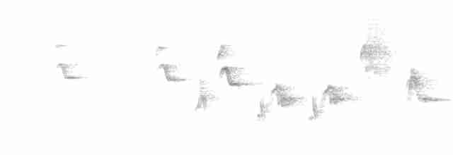lejsek černohlavý - ML618659132