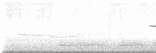 Белогорлая зонотрихия - ML618659385