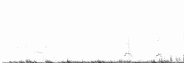 Kara Boyunlu Kuğu - ML618659609