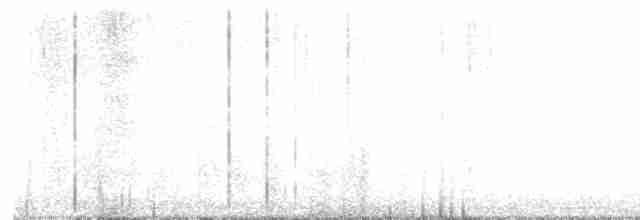 Трясогузковый певун - ML618659954