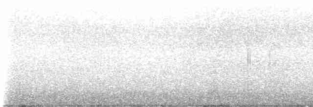 Doğulu Mavi Ardıç (sialis/bermudensis) - ML618660196