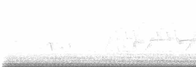 Пересмішник сірий - ML618660410