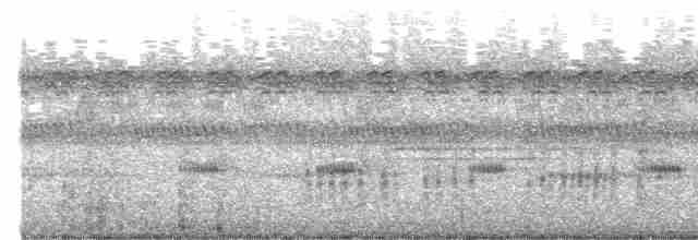 sedmihlásek tamaryškový - ML618660426