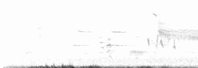 Пересмішник сірий - ML618660489