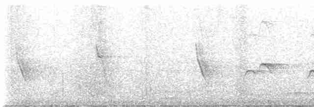Uzun Kuyruklu Örümcekkuşu (schach) - ML618660491