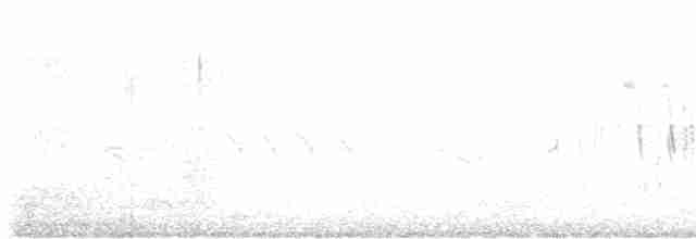 Western Subalpine Warbler - ML618660605