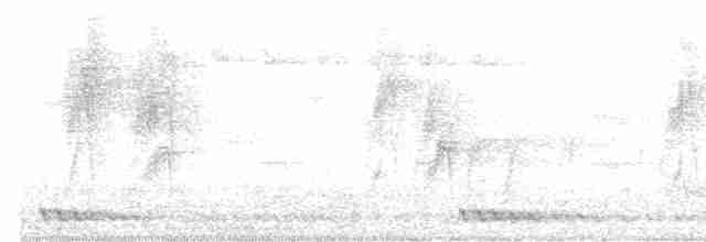 Gök Mavisi Monark - ML618660713
