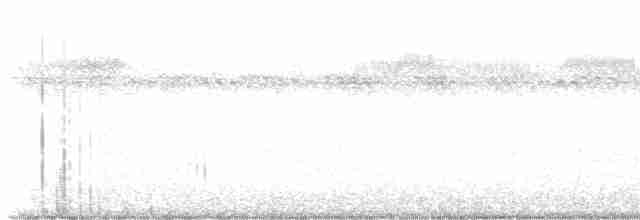 Kara Karınlı Islıkçı Ördek - ML618660837
