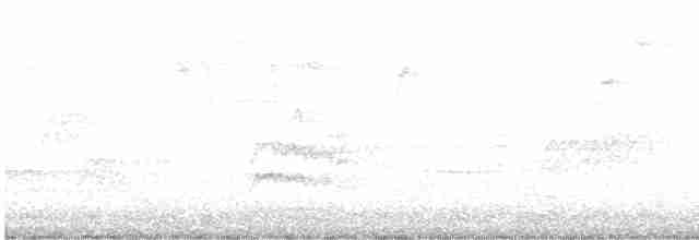 Дрізд-короткодзьоб Cвенсона - ML618661039