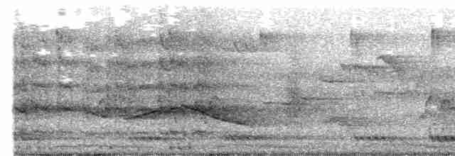 Пятнистогрудая тимелия-говорушка - ML618661206