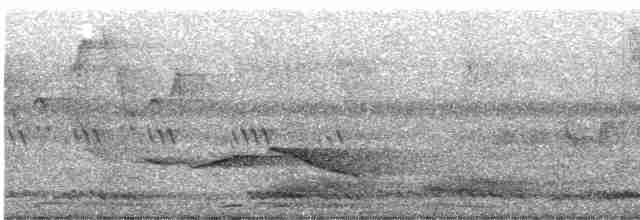 Пятнистогрудая тимелия-говорушка - ML618661207