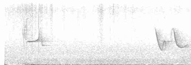 Сероголовый виреон - ML618661219