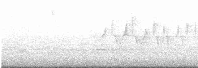 Palm Warbler (Western) - ML618661251