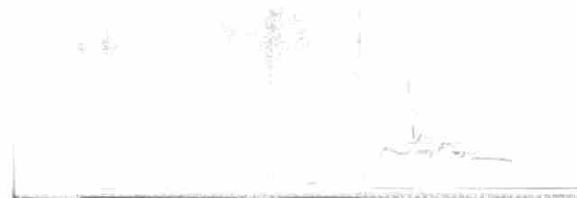 holub bledočelý - ML618661350