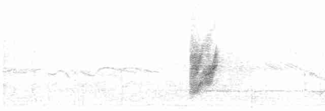 Western Black-eared Wheatear - ML618661626