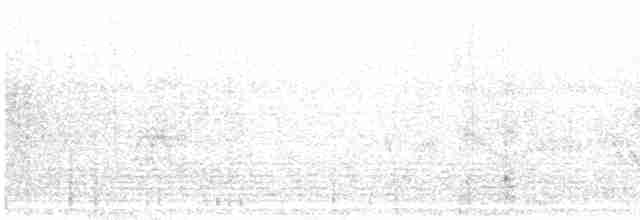 Western Black-eared Wheatear - ML618661627