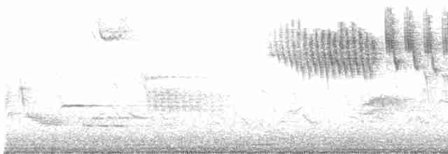 Червоїд золотокрилий - ML618661935