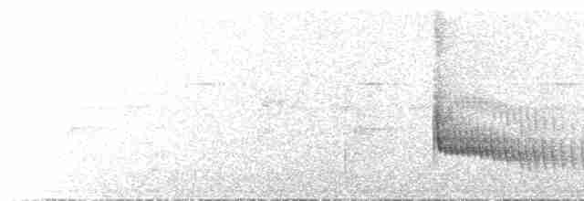 Кущівник плямистий - ML618661981