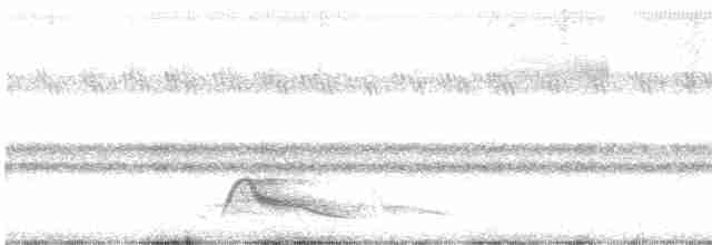 Pauraquenachtschwalbe - ML618662049