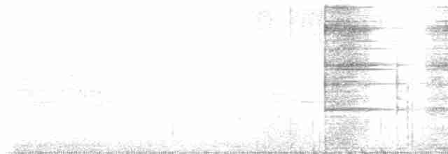 Дрізд-короткодзьоб плямистоволий - ML618662404