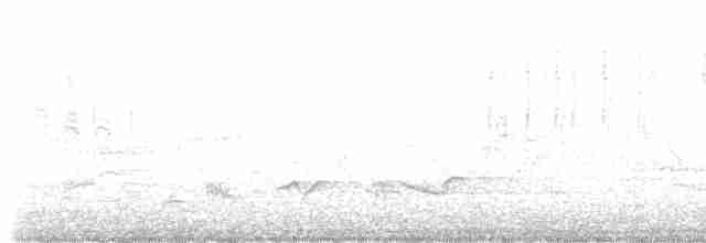 Eurasian Wren - ML618662429