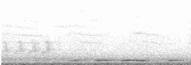 Белокрылая горлица - ML618662457