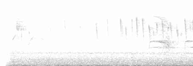 エントツアマツバメ - ML618663503