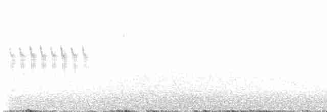 Серый юнко (caniceps) - ML618663711