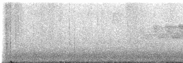 Cerulean Warbler - ML618663737