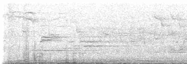 holub hřivnáč - ML618664408