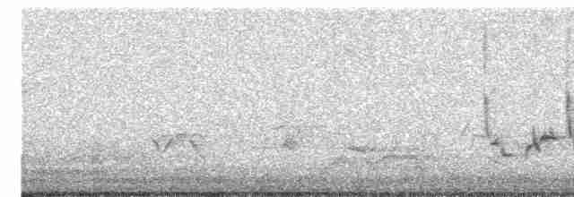 Каролинский крапивник - ML618666088