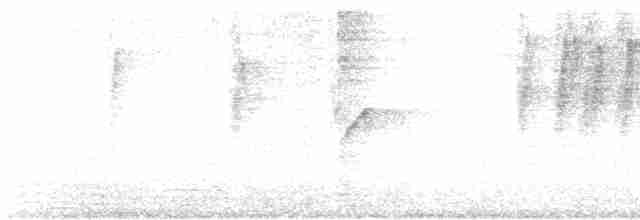 Атласная нектарница - ML618666549