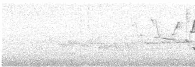 Піранга пломениста - ML618666552
