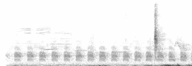 Mangrove Cuckoo - ML618666555