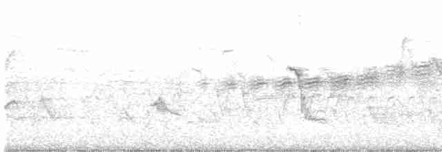 Prairie Warbler - ML618666604