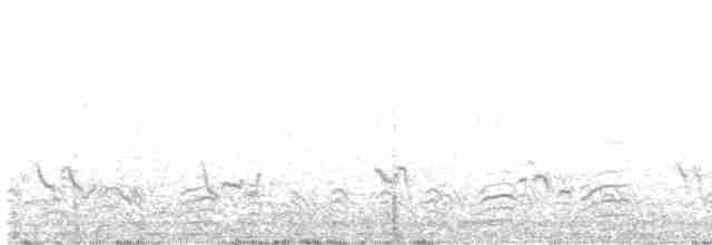 storpræriejerpe (pinnatus) - ML618666832