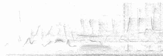 Пестроклювая поганка - ML618666919