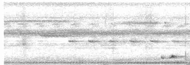 Band-tailed Nighthawk - ML618667016