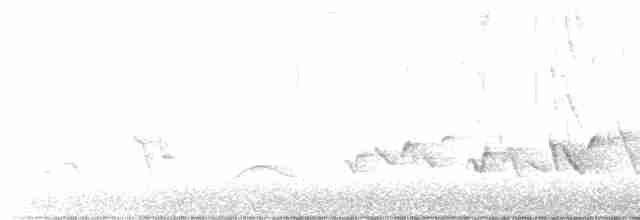 Черноголовый толстонос - ML618667084