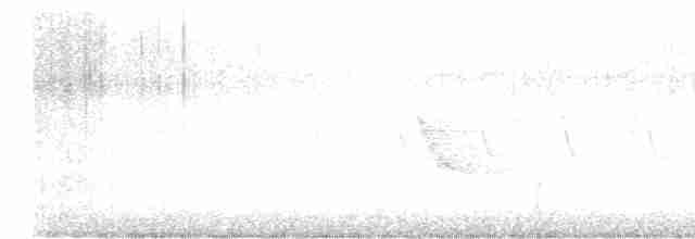 Сероголовый виреон - ML618668851
