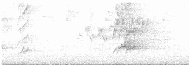 Cerulean Warbler - ML618669023