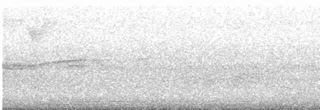 Чернокрылая пиранга - ML618669772