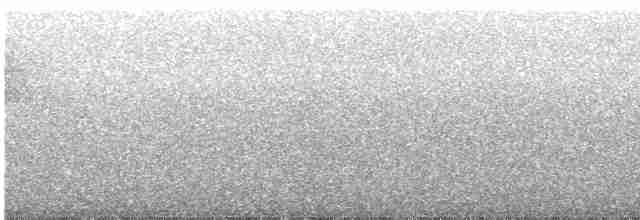Paruline vermivore - ML618670073