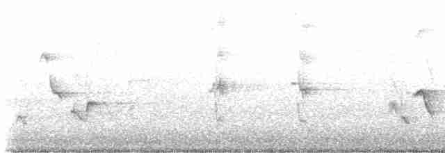 drozdec černohlavý - ML618671098