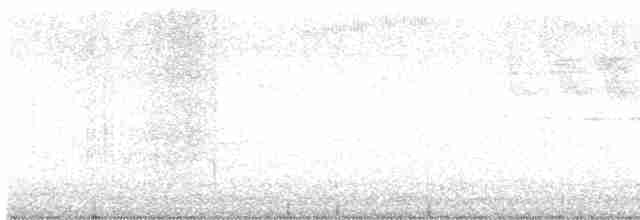 Дрізд-короткодзьоб Cвенсона - ML618672618